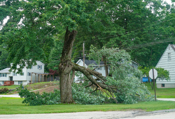 Best Seasonal Cleanup (Spring/Fall)  in Ripon, WI